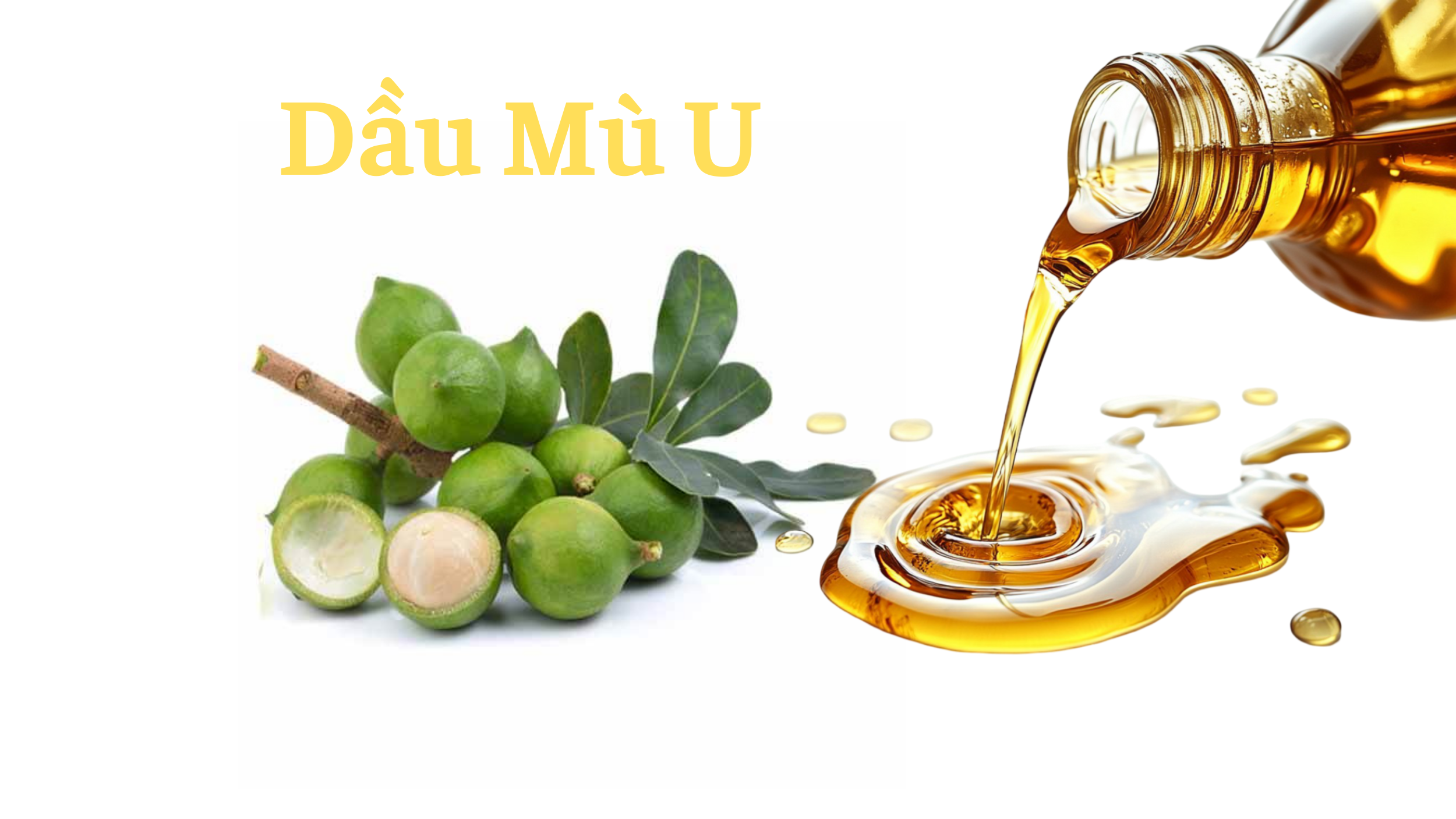 Dầu mù u trị bỏng - Cách sử dụng an toàn, hiệu quả nhanh chóng